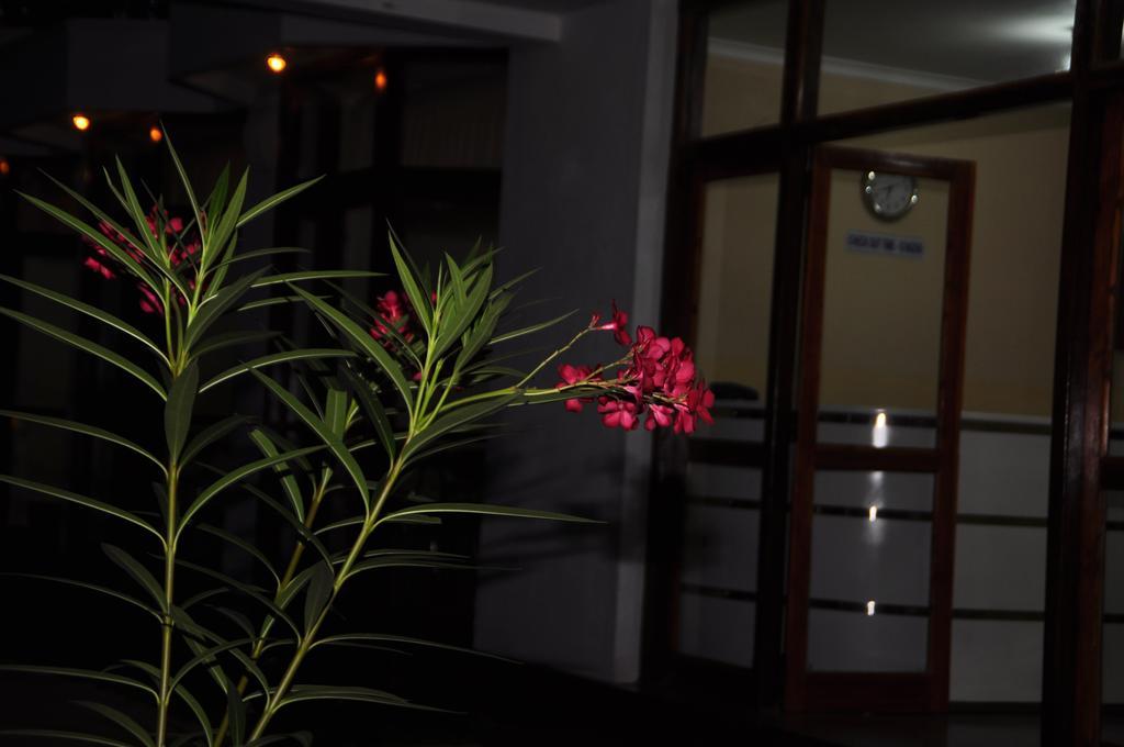 Melbourne Tourist Rest Otel Anuradhapura Dış mekan fotoğraf